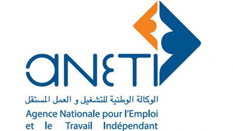 Agence Nationale Pour l’Emploi et le Travail Indépendant (ANETI)